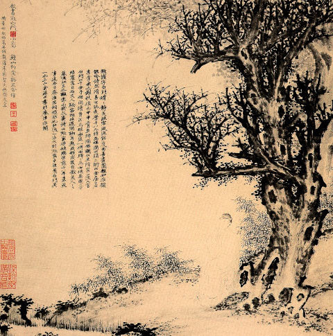 Tian Ma Gou Teng Yin